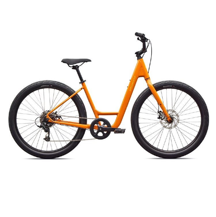 SPECIALIZED ROLL 2.0 LOW ENTRY