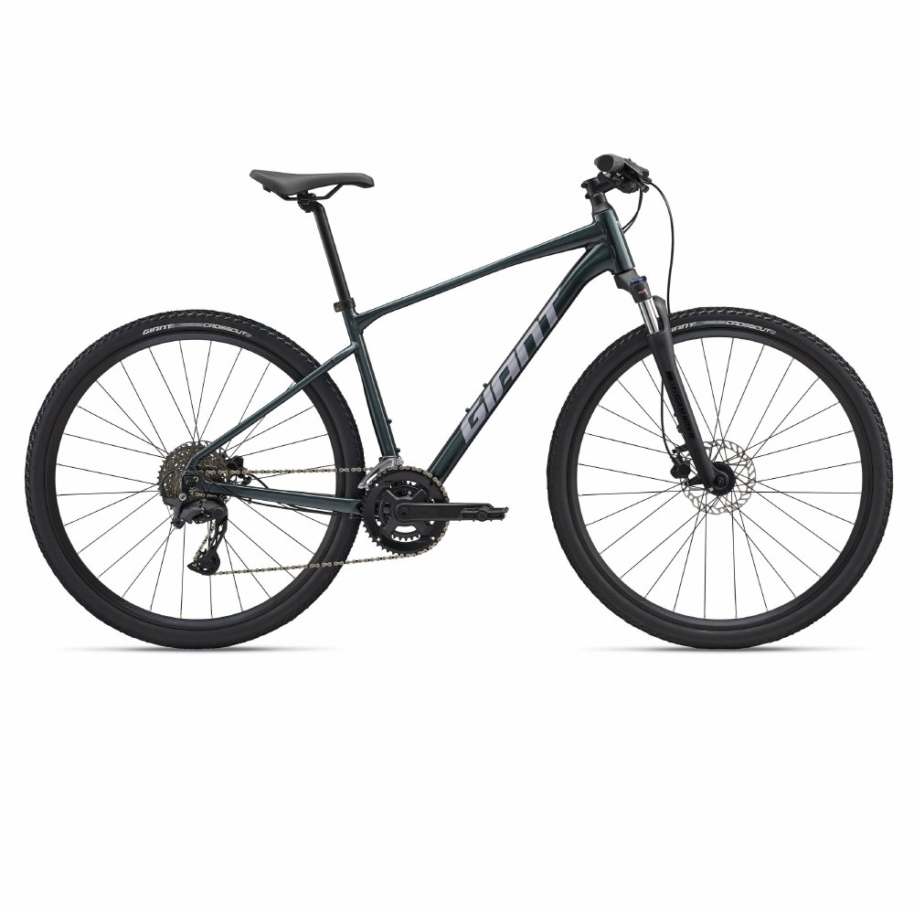 GIANT ROAM Fresh Air Experience