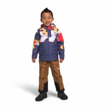 THE NORTH FACE KIDS FREEDOM INSULATED JACKET