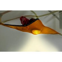 Additional picture of NEMO AURORA 3P & FOOTPRINT 2024+