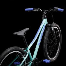 Additional picture of TREK PRECALIBER 24 8-SPEED SUS