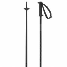 Additional picture of SALOMON POLAR POLE