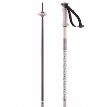 Additional picture of SALOMON POLAR POLE