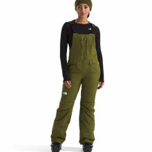 Additional picture of THE NORTH FACE W'S FREEDOM INSULATED BIB