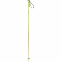 SALOMON POLAR POLE