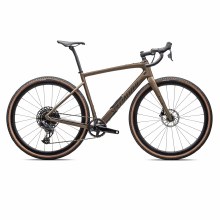 SPECIALIZED DIVERGE EXPERT CARBON (DEMO)