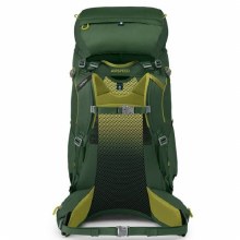 Additional picture of OSPREY ACE 65