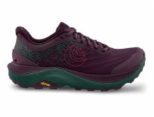 TOPO W'S ULTRAVENTURE 4