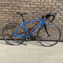 NORCO CRD 3 BLUE MEDIUM