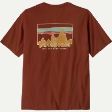 Additional picture of PATAGONIA '73 SKYLINE ORGANIC T-SHIRT