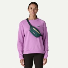 Additional picture of PATAGONIA TERRAVIA MINI HIP PACK