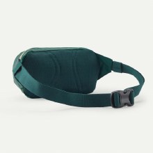 Additional picture of PATAGONIA TERRAVIA MINI HIP PACK