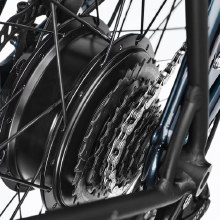 Additional picture of ELECTRA TOWNIE GO!