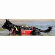 Additional picture of UNDERDOG