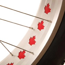 Additional picture of EVO OMW FAT TIRE BIKE
