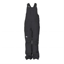THE NORTH FACE W'S FREEDOM INSULATED BIB PANT