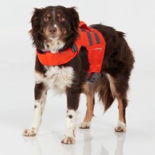 Additional picture of NRS CFD DOG LIFE JACKET
