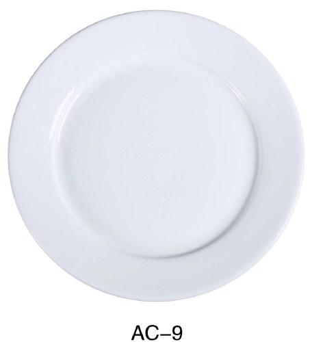 PLATE DINNER. 9-1/2"D, 24/CS