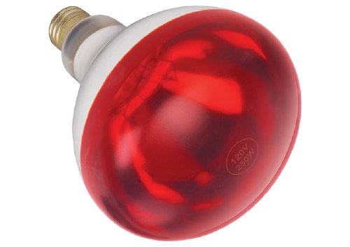 Winco EHL-BR Heat Lamp Bulb for EHL-2, Shatter-Resistant, Red