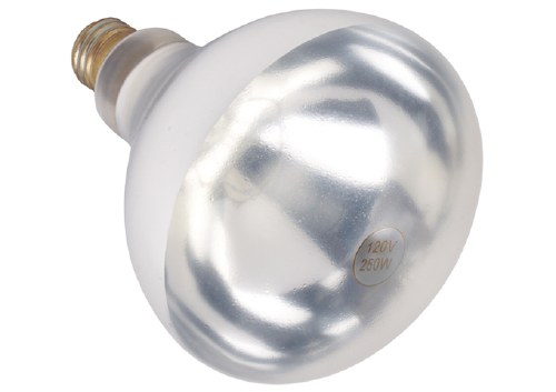 Winco EHL-BW Heat Lamp Bulb for EHL-2, Shatter-Resistant, Clear