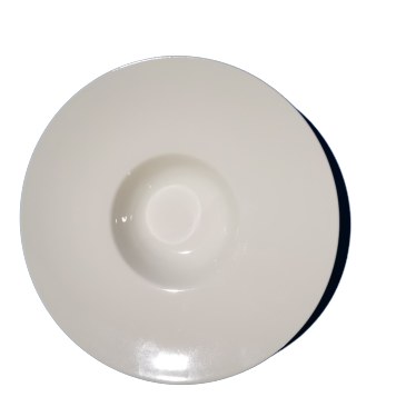 9.25" White Porcelain Plate with Wide Rim