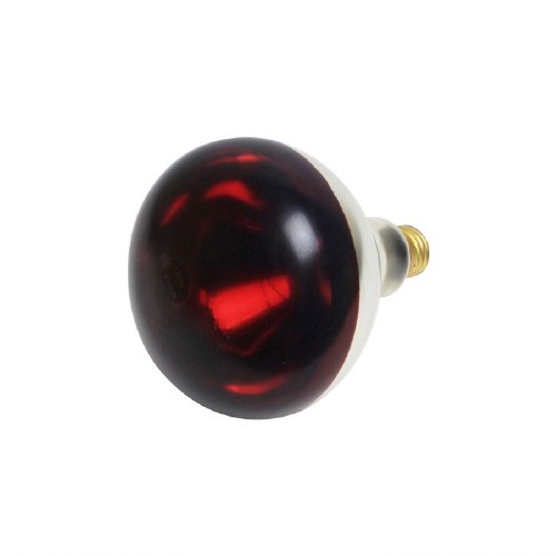 Thunder Group SEJ92001R Replacement Bulb for SEJ92000, Red