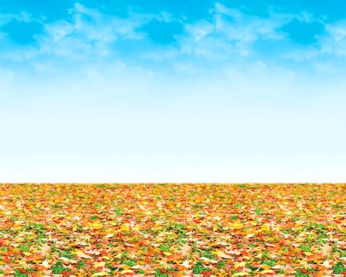 Autumn Landscape Fadeless Backing Paper Roll 3.7m x 1.2m