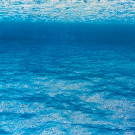 Under The Sea Fadeless Backing Paper Roll 3.7m x 1.2m