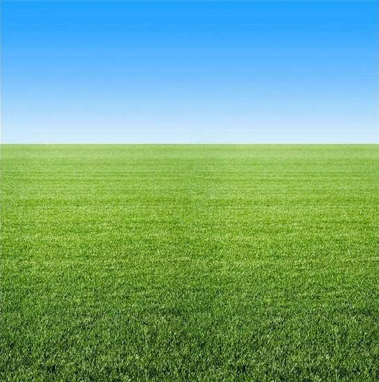 Summer Horizon Fadeless Backing Paper Roll 3.7m x 1.2m