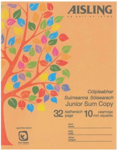 1cm Square Sum Copy 32 Page (Aisling)