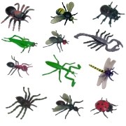 Insects (Set 12)
