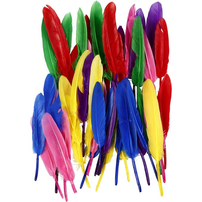 Small Quill Feathers Assorted Colours 13cm (Pack 48)