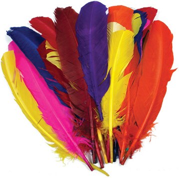 Giant Quill Feathers Assorted Colours 30cm (Pack 25)