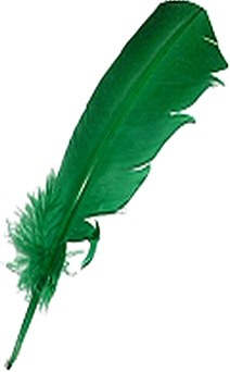 Large Green Quill Feathers (Pack 200)