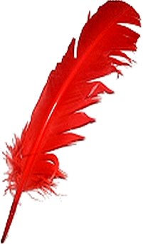 Large Red Quill Feathers (Pack 200)