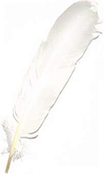 Large White Quill Feathers (Pack 200)