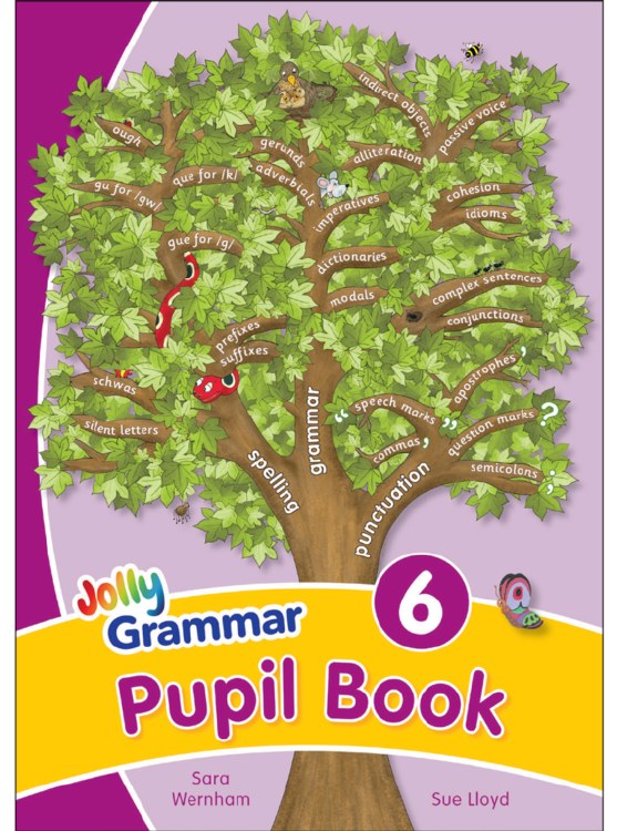 Jolly Grammar Pupil Book 6
