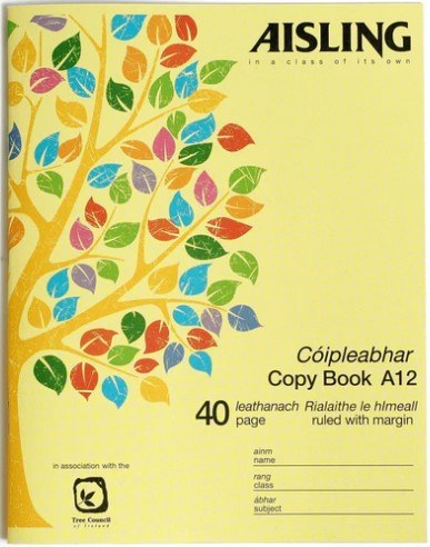 A12 Writing Copy 40 Page (Aisling)
