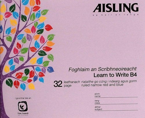 B4 Handwriting Copy (Aisling)
