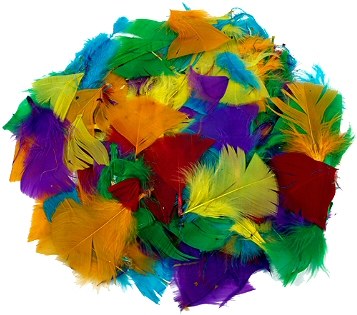 Small Bright Coloured Feathers 28g