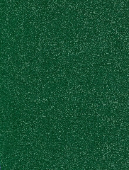 A4 Bindinig Covers Green Leather-Look 150 microm (Pack 100)