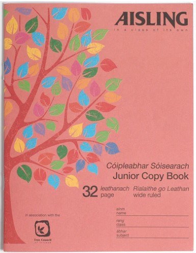 J08 8" (H) x 6" (W) 11mm Wide Ruled Writing Copy 32 Page (Aisling)