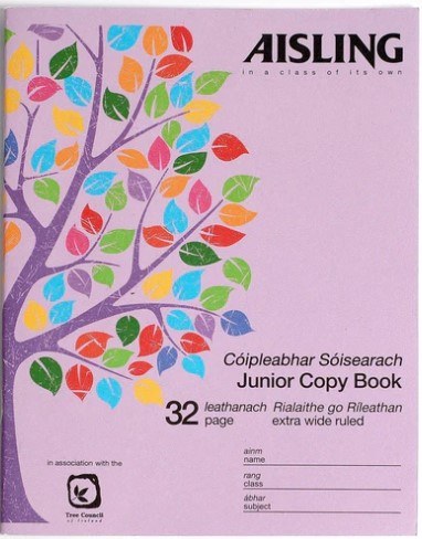 J09 8" (H) x 6" (W) 15mm Wide Ruled Writing Copy 32 Page (Aisling)
