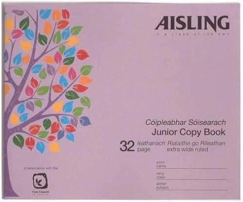 J10 6" (H) x 8" (W) 15mm Wide Ruled Writing Copy 32 Page (Aisling)
