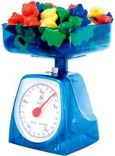 Kitchen Scale 5kg Capacity