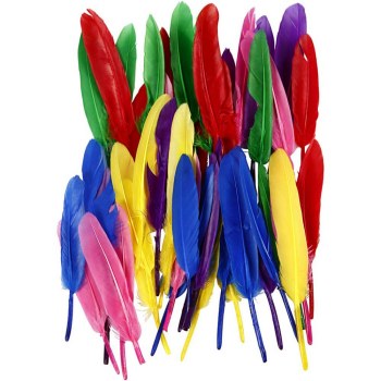 Small Quill Feathers Assorted Colours 13mm (Pack 48)