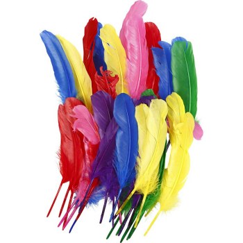 Large Quill Feathers Assorted Colours 20cm (Pack 36)