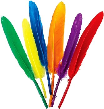 Small 12cm Coloured Quill Feathers (Pack 50)