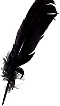 Large Black Quill Feathers (Pack 200)