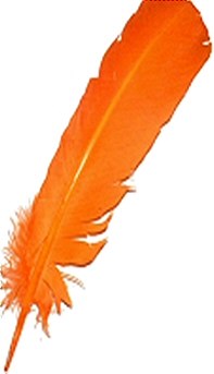 Large Orange Quill Feathers (Pack 200)